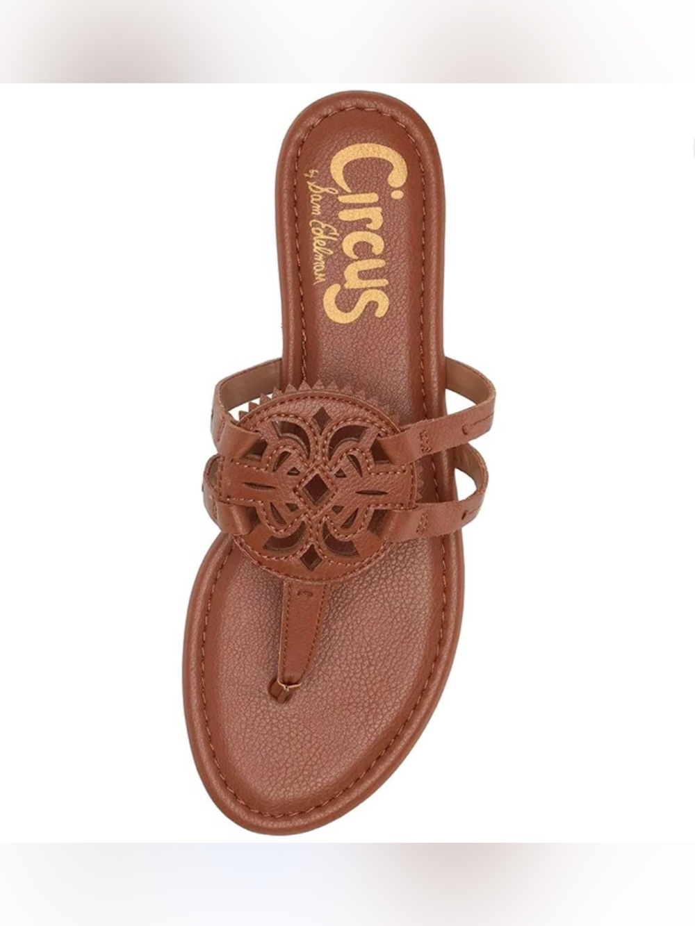 Circus by Sam Edelman Saddle Brown Leather Gladiator Thong Sandal